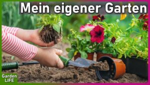 Garden LIFE | Folgen 1 - 7