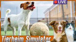 Tierheim Simulator 2 🔴 [2] Folgen 4-6
